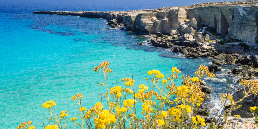 flora-cala-rossa